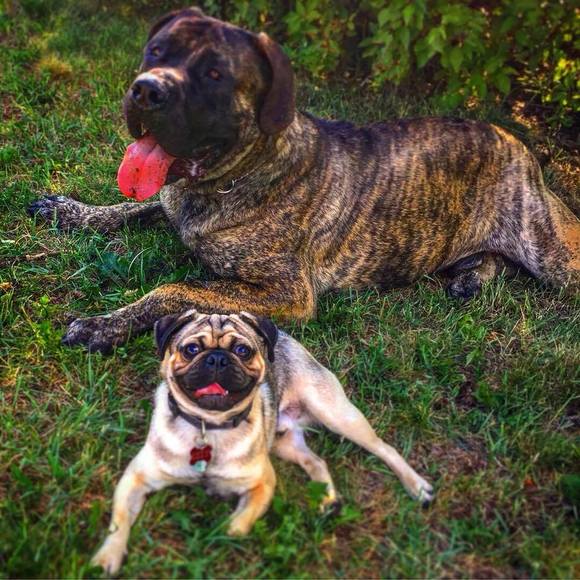 Meet your Posher, Decker - Picture 1 of 1